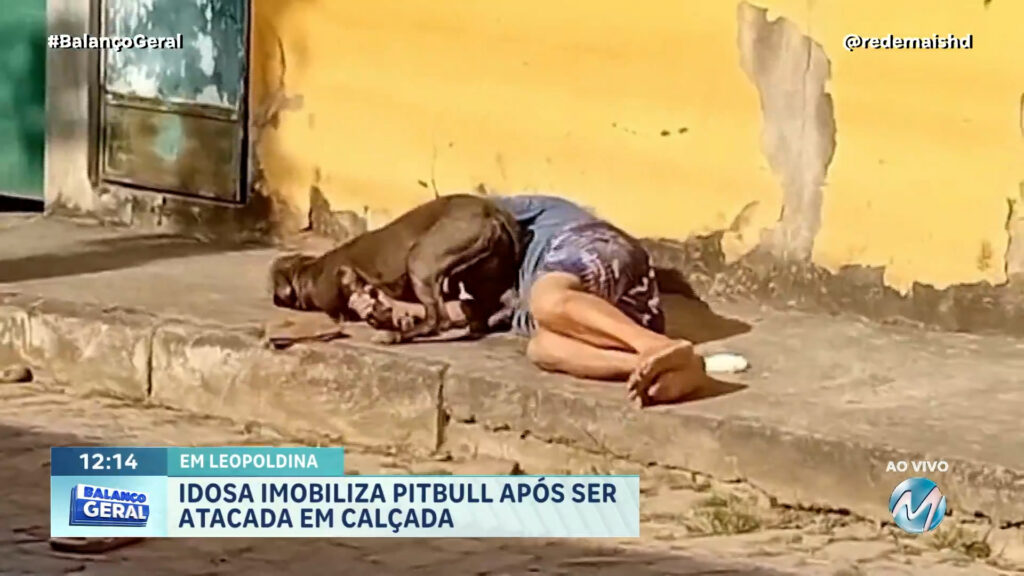 IDOSA IMOBILIZA PITBULL APÓS SER ATACADA EM CALÇADA