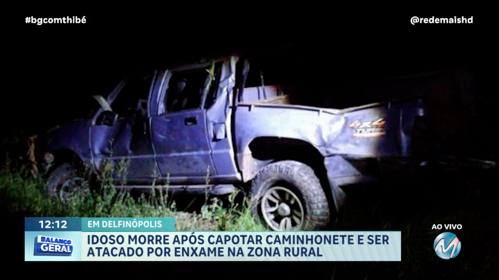 IDOSO MORRE APÓS CAPOTAR CAMINHONETE E SER ATACADO POR ENXAME DE ABELHA NA ZONA RURAL