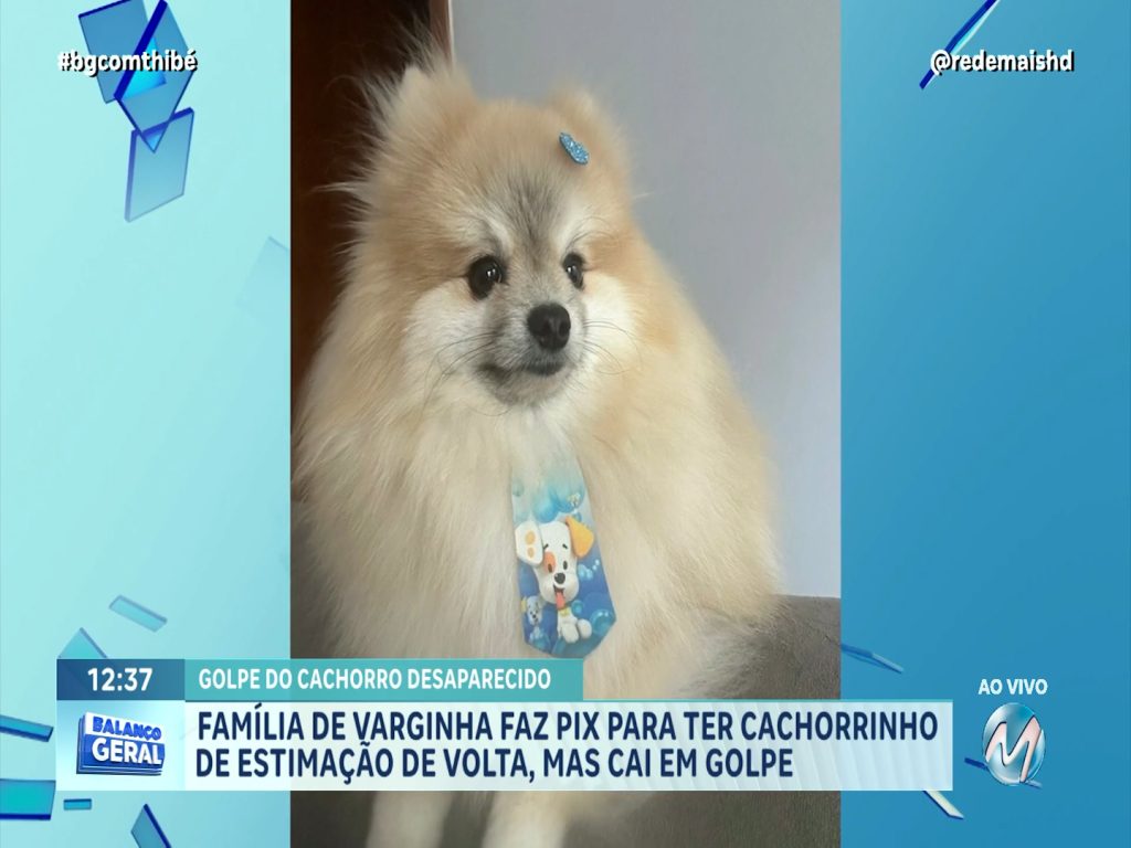FAMÍLIA DE VARGINHA FAZ PIX PARA TER CACHORRINHO DE ESTIMAÇÃO DE VOLTA, MAS CAI EM GOLPE
