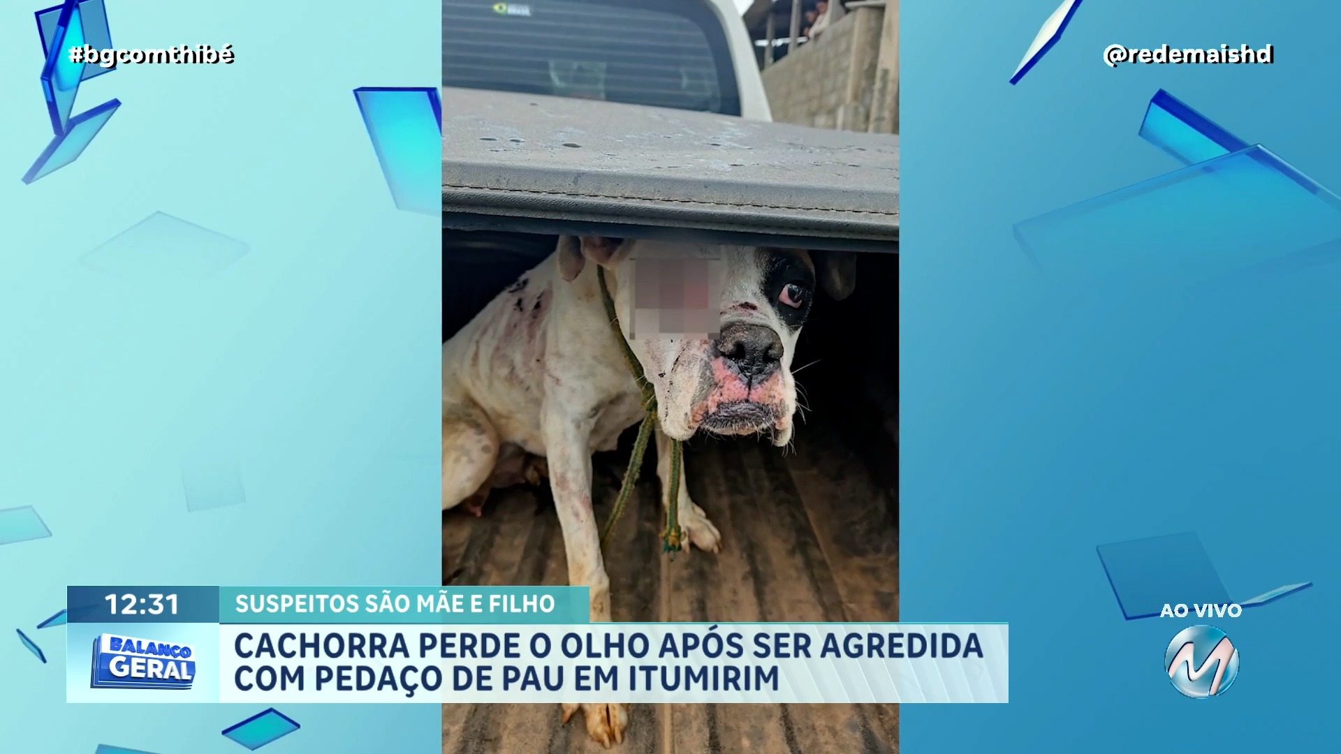 MAIS UM CASO DE MAUS-TRATOS A ANIMAIS: MÃE E FILHO SÃO SUSPEITOS DE AGREDIR CACHORRO EM ITUMIRIM