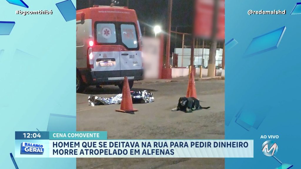 FIEL ATÉ O FIM: HOMEM MORRE ATROPELADO E CÃO NÃO SAI DO LADO DELE
