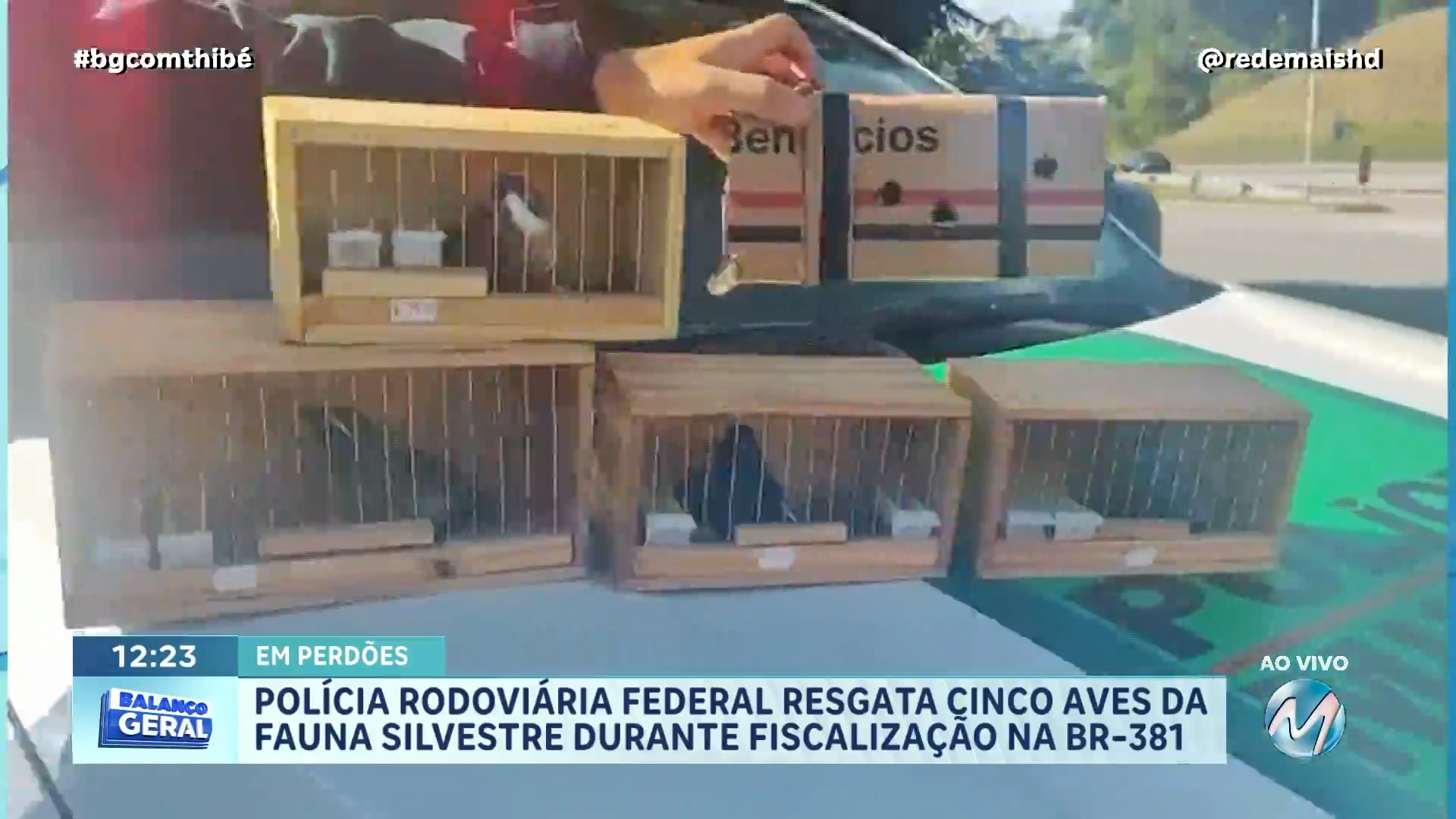 POLÍCIA RODOVIÁRIA FEDERAL RESGATA CINCO AVES DA FAUNA SILVESTRE EM SITUAÇÃO DE MAUS-TRATOS NA FERNÃO DIAS, EM PERDÕES