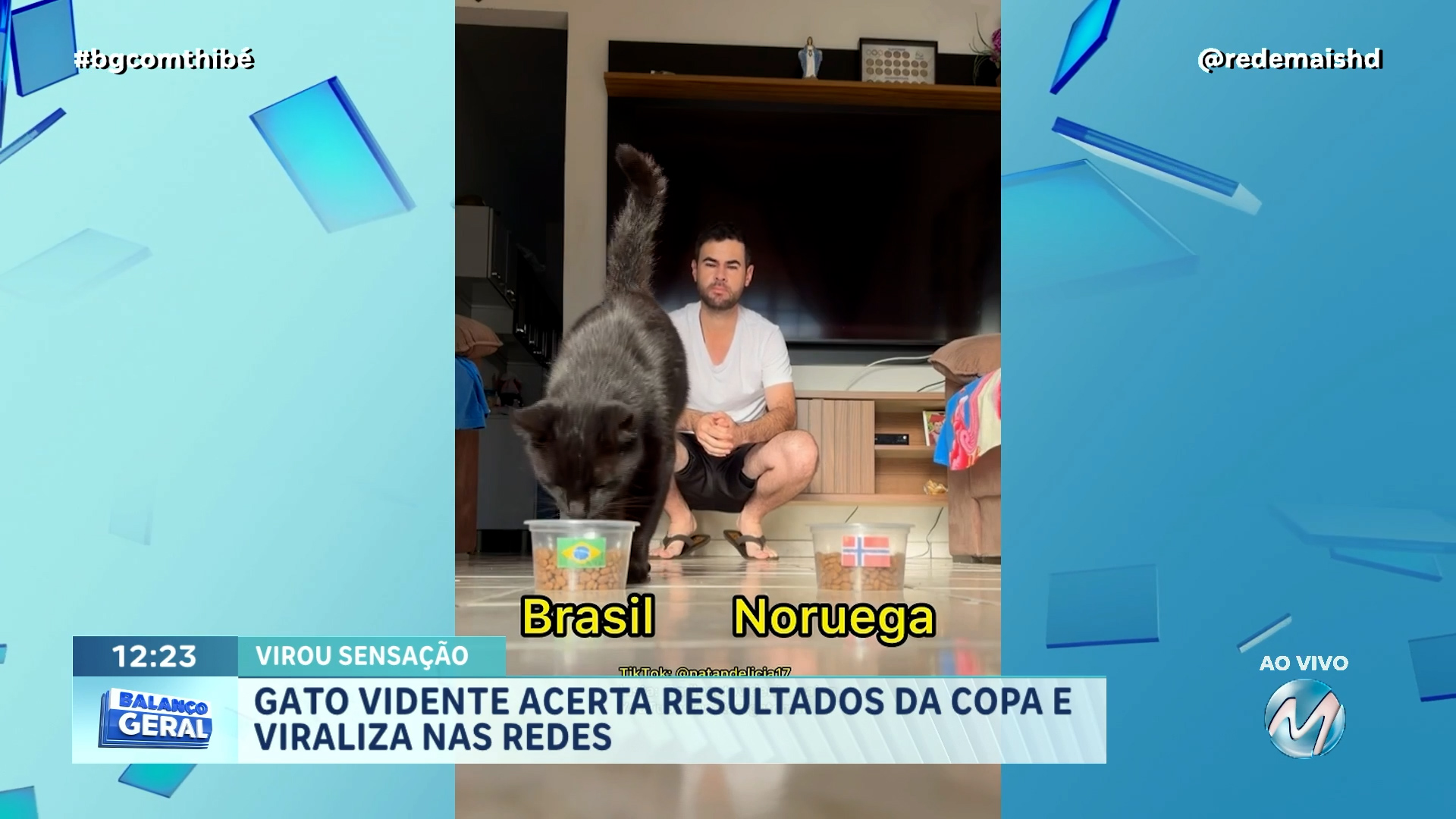 GATO MILU FAZ PREVISÕES DOS JOGOS DA COPA DO MUNDO, ACERTA RESULTADOS DA COPA E VIRALIZA NAS REDES
