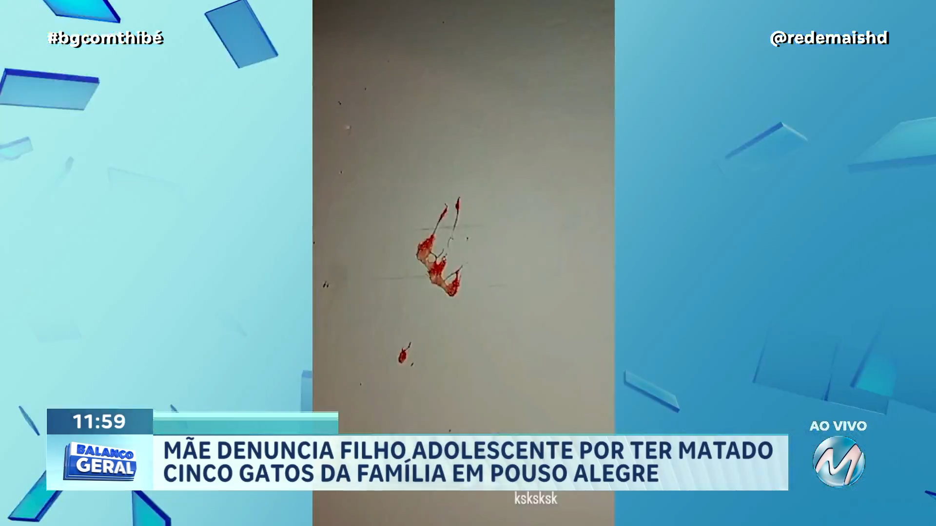 MÃE DENUNCIA O PRÓPRIO FILHO DE 15 ANOS APÓS ADOLESCENTE MATAR CINCO GATOS DA FAMÍLIA EM POUSO ALEGRE