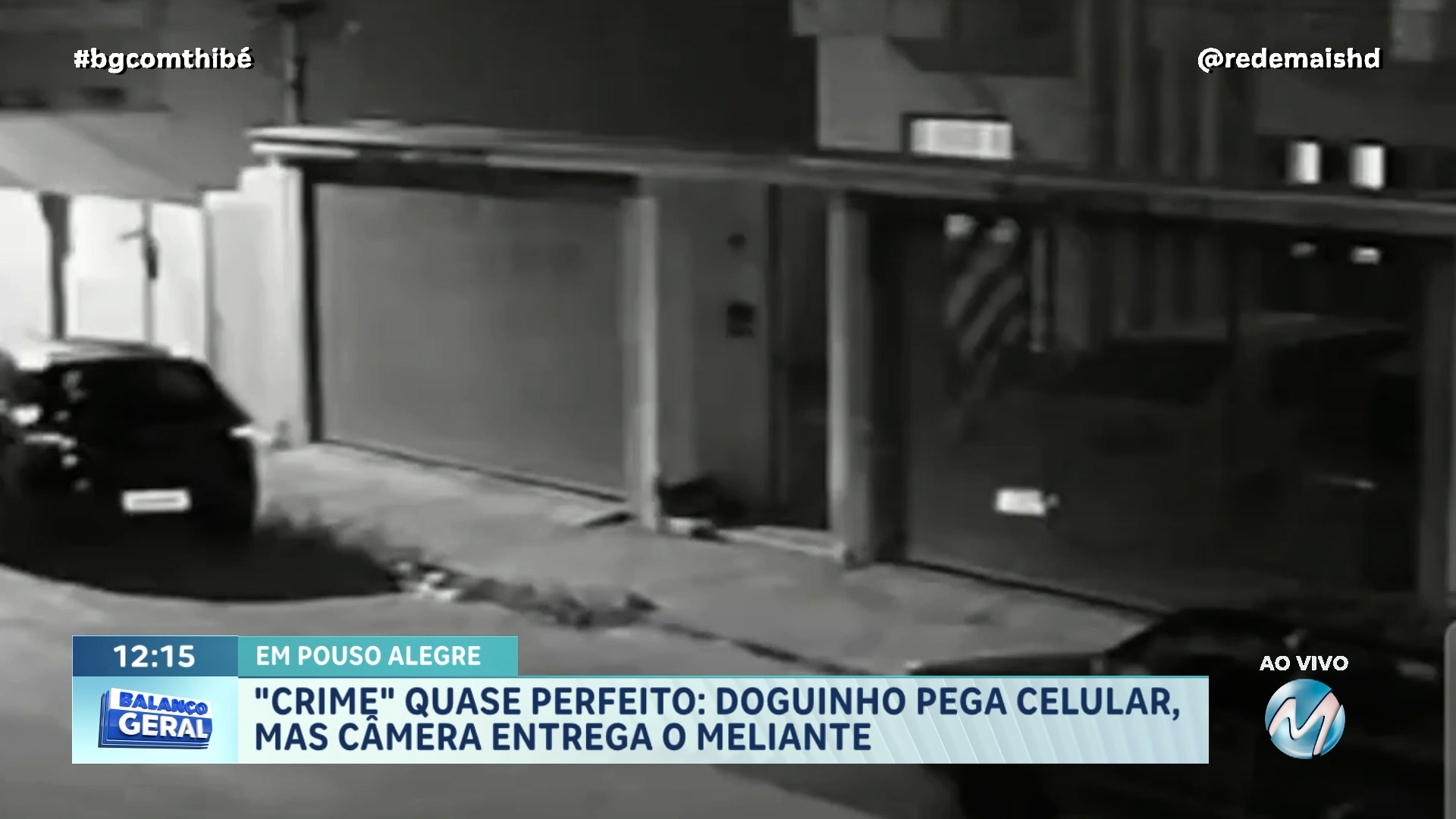 “DOGUINHO MELIANTE” É FLAGRADO POR CÂMERA AO “FURTAR” CELULAR DE CRIANÇA EM POUSO ALEGRE